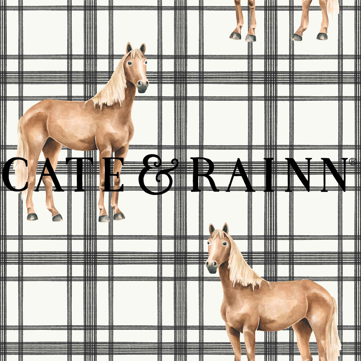 Black Plaid Horse