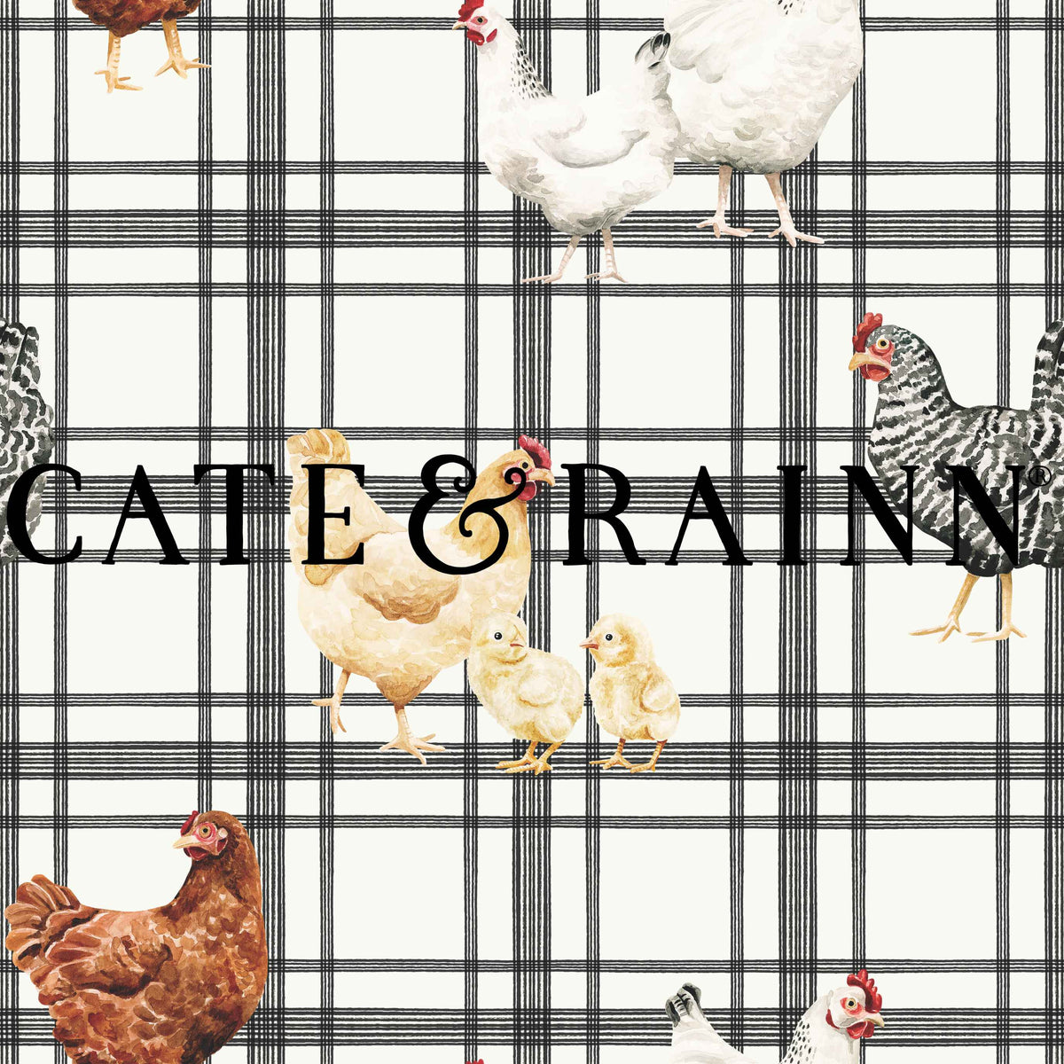 Black Plaid Chickens