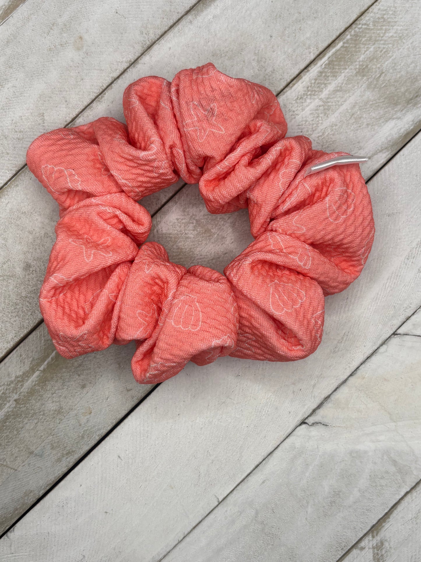 Coral Sea Shells